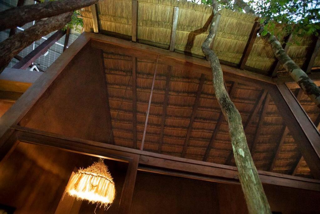 Hébergement de vacances Ojo De Agua. Design+pool. Vive La Autentica Selva! Tulum