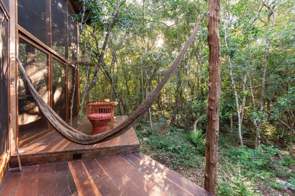 Ojo De Agua. Design+pool. Vive La Autentica Selva! Hébergement de vacances *