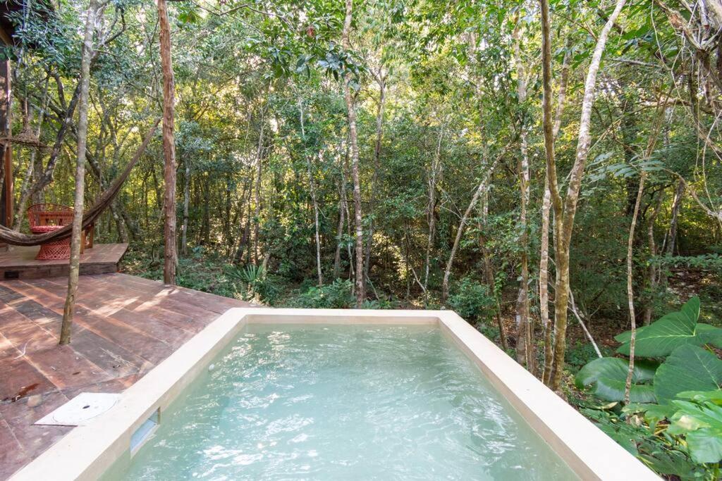 Ojo De Agua. Design+pool. Vive La Autentica Selva! Hébergement de vacances *