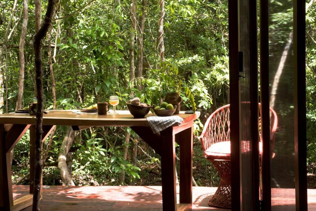 Ojo De Agua. Design+pool. Vive La Autentica Selva! Hébergement de vacances