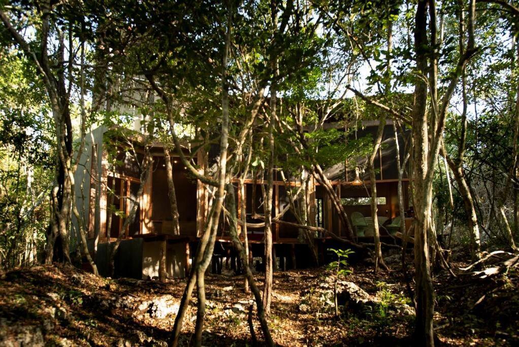 Ojo De Agua. Design+pool. Vive La Autentica Selva! Hébergement de vacances Tulum